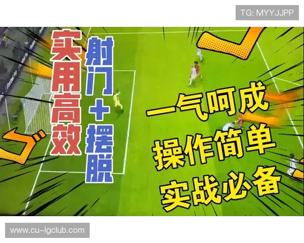 家用足球围栏材质选择与安装耐用性全面实用解析指南大全优选攻略